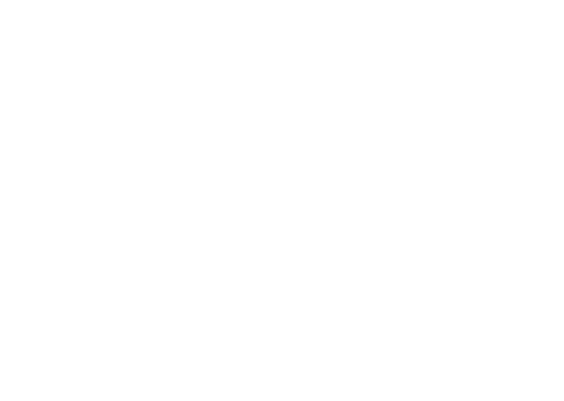 Guardian Homes